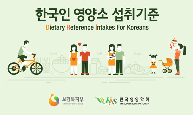 일일영양섭취기준표