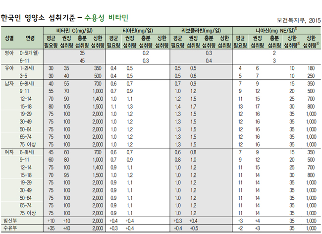 일일영양섭취기준표2