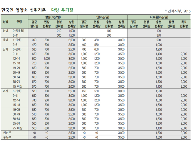 일일영양섭취기준표4