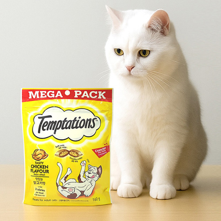 템테이션 고양이간식 할인행사