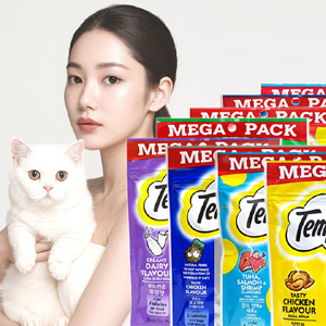 고양이간식 템테이션