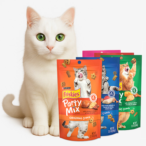 고양이간식 파티믹스 모델 먼치킨 고양이3