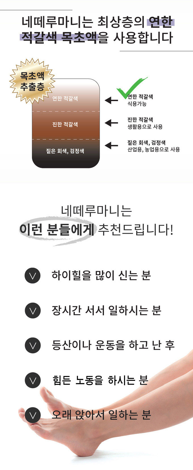네떼루마니수액시트4