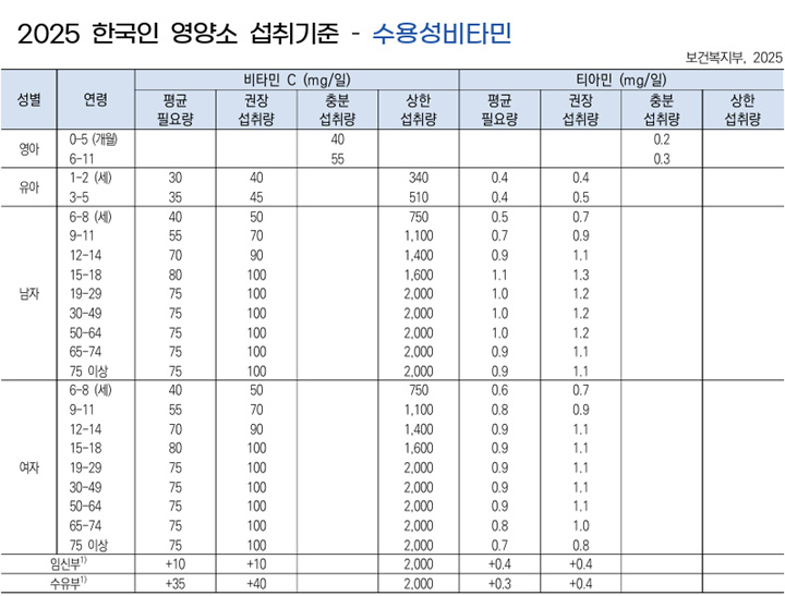 비타민C, 티아민 하루 섭취 권장량 기준표