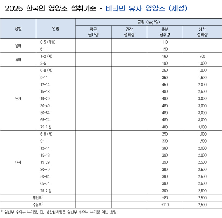 콜린 choline 하루 섭취 권장량 기준표