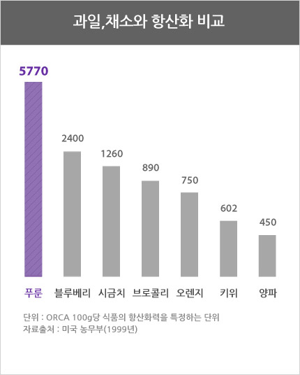 푸룬의항산화비교
